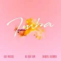 Обложка трека Imba