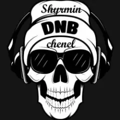 Andromedik, MC Stretch — To The Dark
