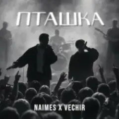 Обложка трека пташка