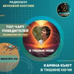 Обложка трека В тишине ночи