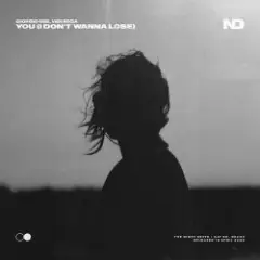 Обложка трека You (I Don't Wanna Lose)