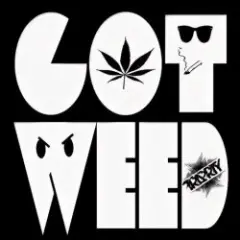 Обложка трека GOT WEED (DNB) 2026