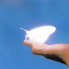 Glimmer