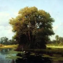 Шумiла сосна i явiр