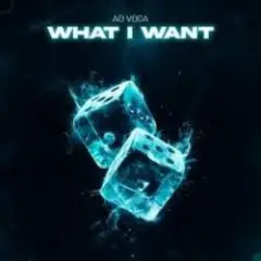 Ad Voca — What I Want