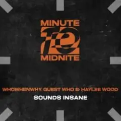 Sounds Insane (Extended Mix)