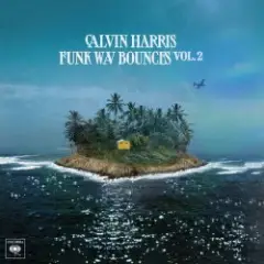 Calvin Harris feat. Stefflon Don, & Coi Leray — Woman Of The Year