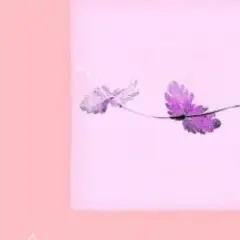 Alina Orlova — Einu