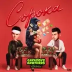 Сорока