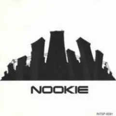Обложка трека Nookie (Clean Version)