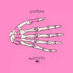 Shmiska & хейтспіч — сліди