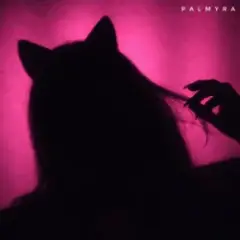 Киця