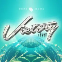 Sound Remedy — Summer Was Fun
