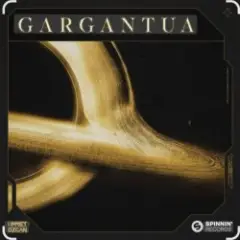 Обложка трека Gargantua