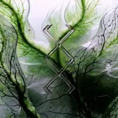 KREAM & Korolova — Annihilation