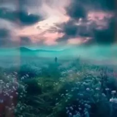inner world