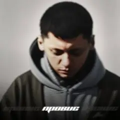 Обложка трека СиП