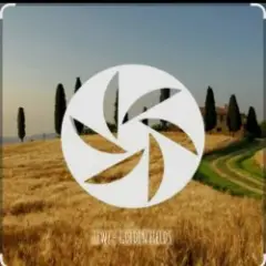 Golden Fields