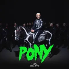 Don Diablo feat. Control Alt Delete — Pony
