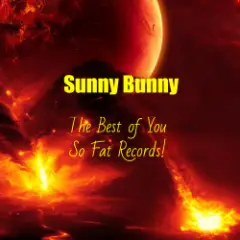 Обложка трека The Best of You So Fat Records!