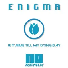 Обложка трека Je T'aime Till My Dying Day (NJ Remix)