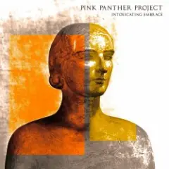 Pink Panther Project — Embracing The Void