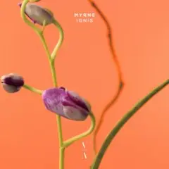 Time (Something To You)