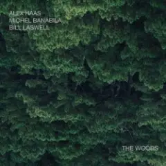 Обложка трека Outer Woo