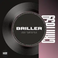 Briller (Dub)