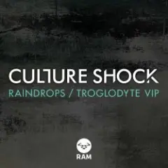 Culture Shock — Troglodyte (VIP)