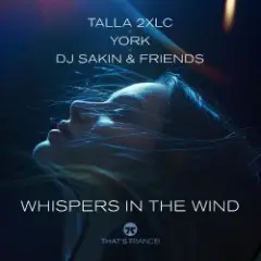 Обложка трека Whispers In The Wind