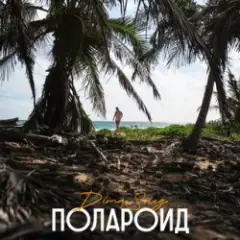 Полароид (Remix)