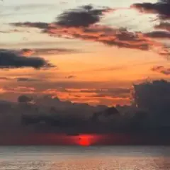 The Rapture Pt.IV
