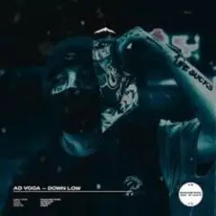 Обложка трека Down Low