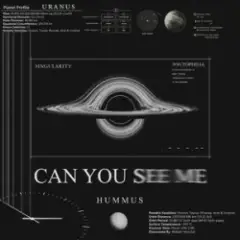 Обложка трека Can You See Me