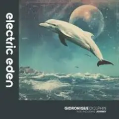 Обложка трека Dolphin