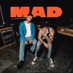 Martin Garrix & Lauv — MAD