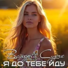 Я до тебе йду