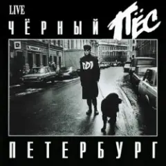 Обложка трека Чёрный пёс Петербург