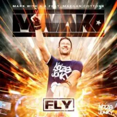 Обложка трека Fly (radio version)