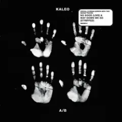 Kaleo — No Good