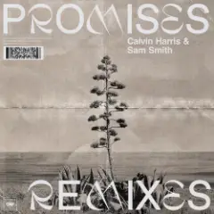 Обложка трека Promises (David Guetta Remix)