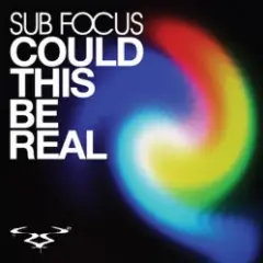 Could This Be Real (D'N'B Remix)
