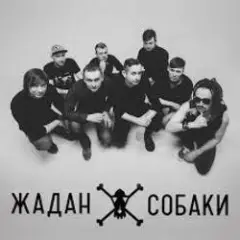 Обложка трека Дивні люди