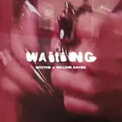 NOTION & Willow Kayne — WAITING