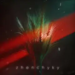 Обложка трека Zhenchyky