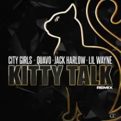 Обложка трека Kitty Talk (Remix)