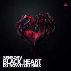 Обложка трека Black Heart (DJ Nowitzki Remix)