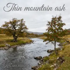 Обложка трека Thin mountain ash