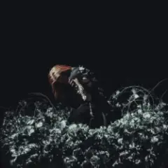 Обложка трека THE END